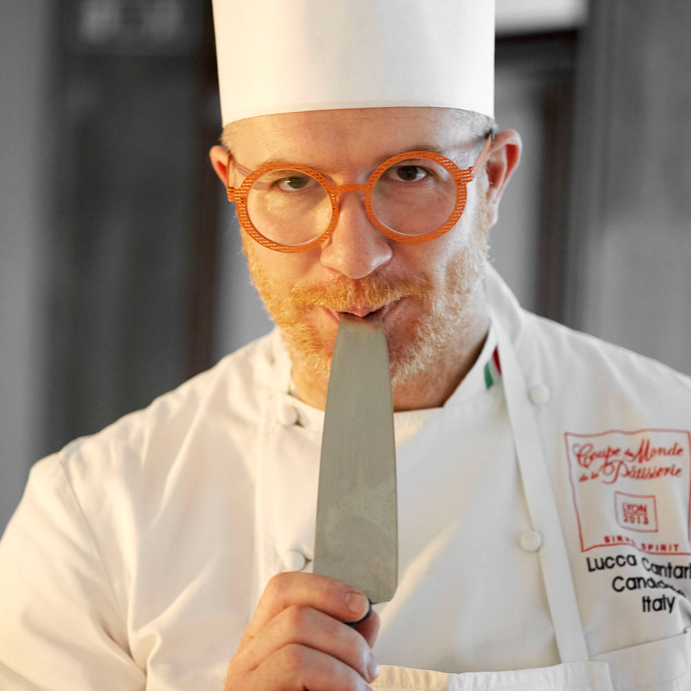Lucca che lecca un coltello, foto a colori